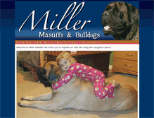 Tablet Screenshot of millersmastiffsandbulldogs.com